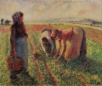 卡米耶 畢沙羅 Picking Peas 卡米耶 畢沙羅 Picking Peas